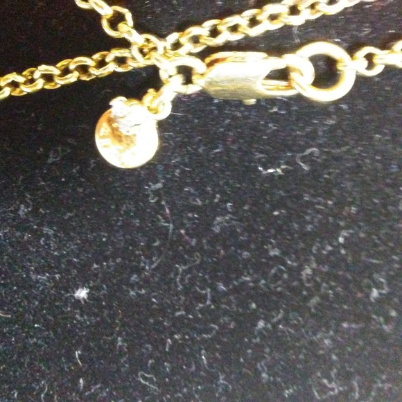 J. Crew Pave Long Necklace - Picture 3 of 3